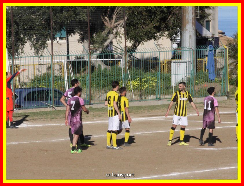 190310 Cephal_Torrenov 146_tn.jpg